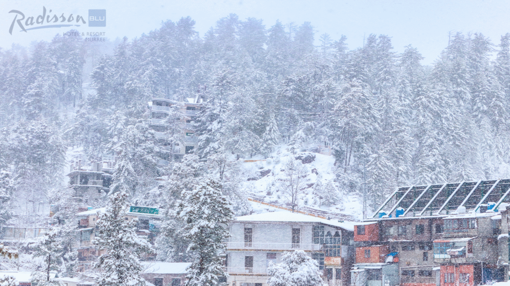 Location & Altitude’s Impact on Weather