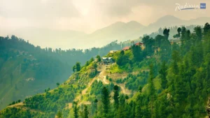 Best Time to Visit Murree