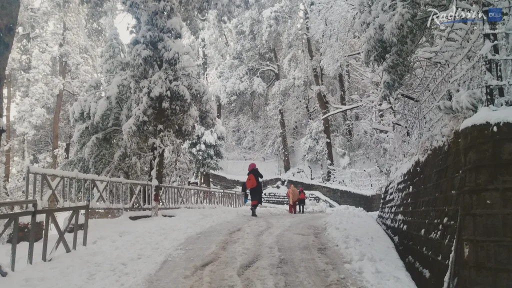 Best Time to Visit Murree in Winter