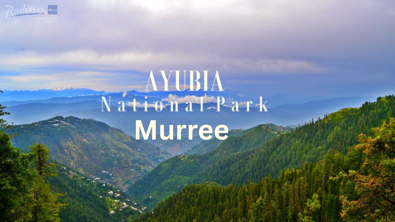 Ayubia National Park Murree: A Complete Travel Guide